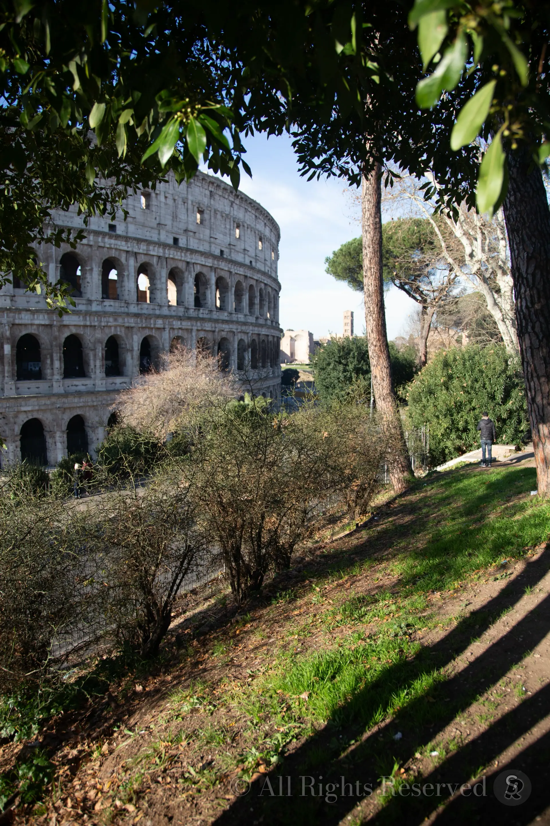 Roma, Italy. Colosseo