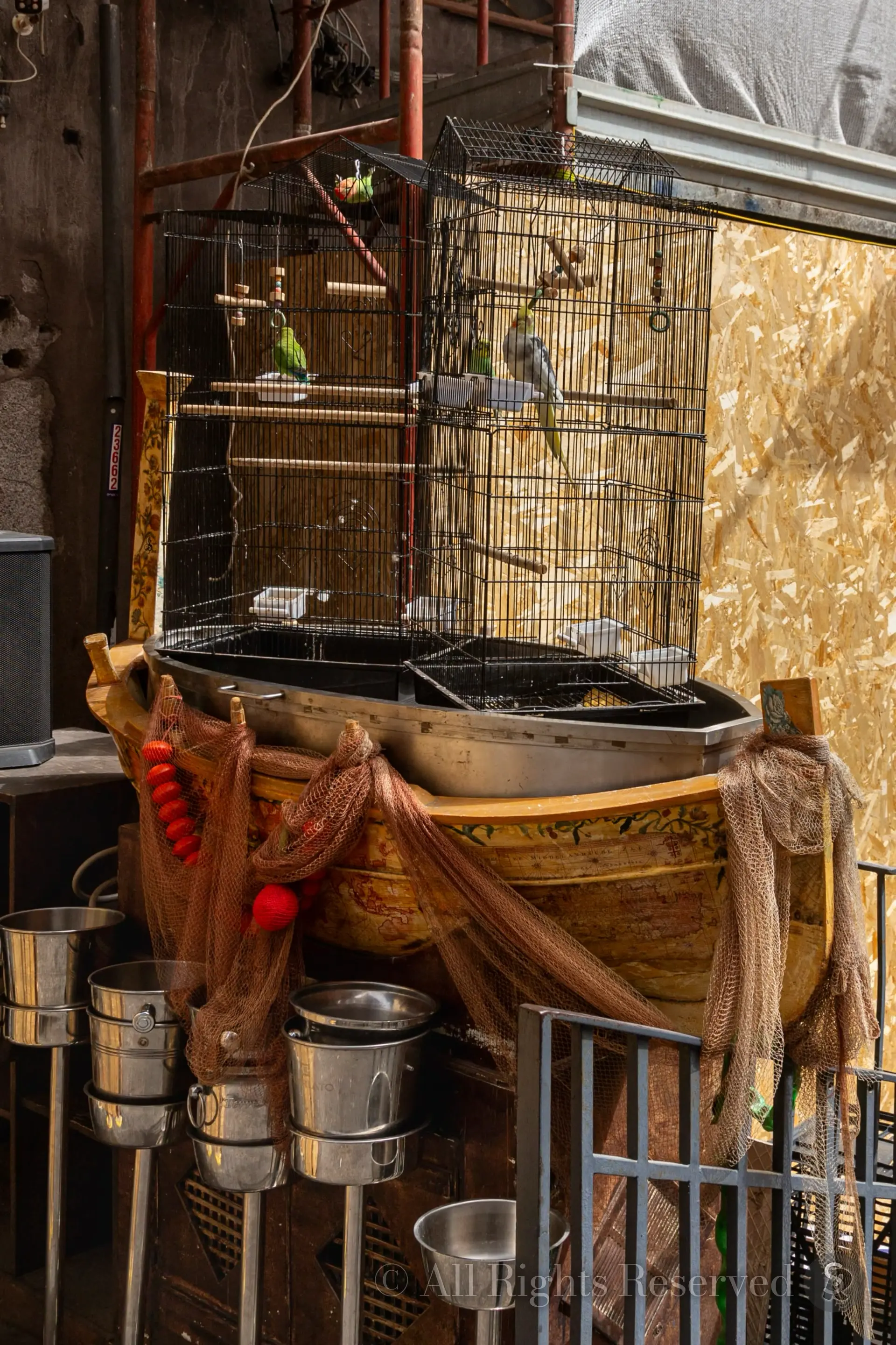 Sicilia, Pescheria di Catania