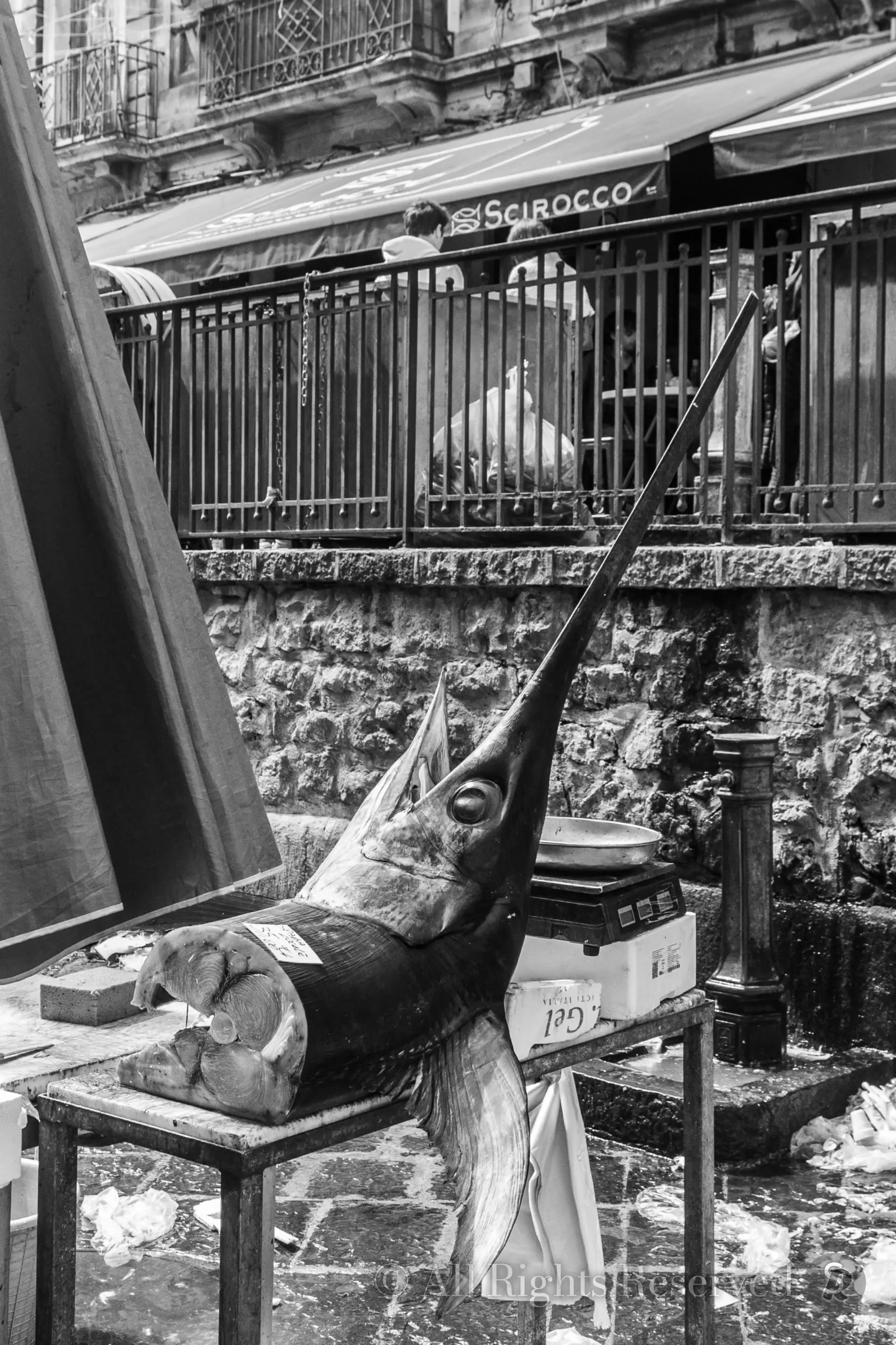 Sicilia, Pescheria di Catania. Pescespada, swordfish