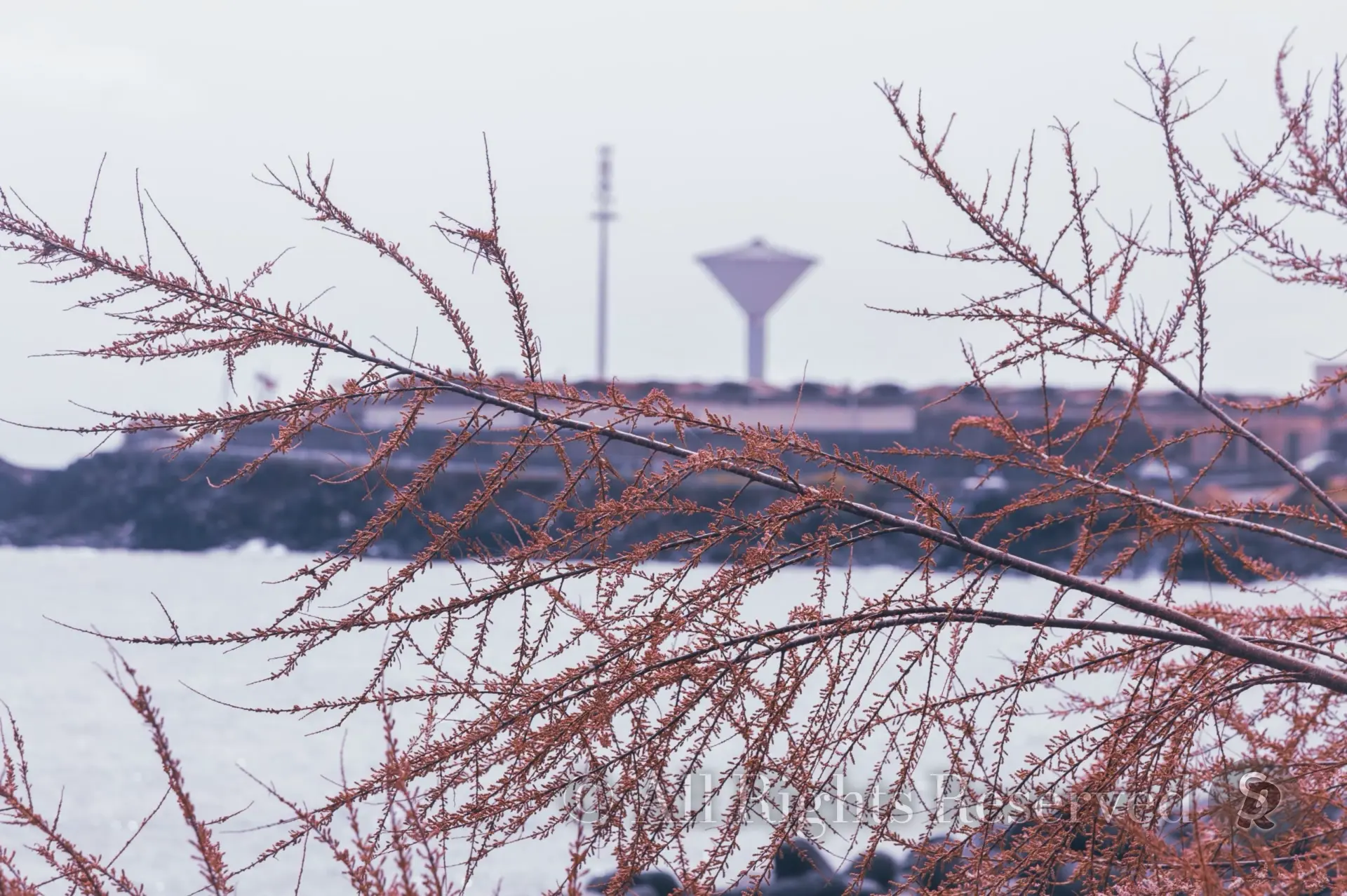 Domenica a San Giovanni Li Cuti a Catania